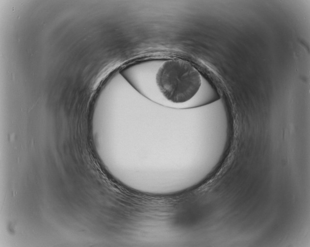 X0000102781267200808180923