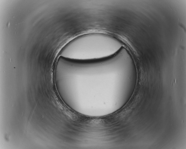 X0000102781268200808180923