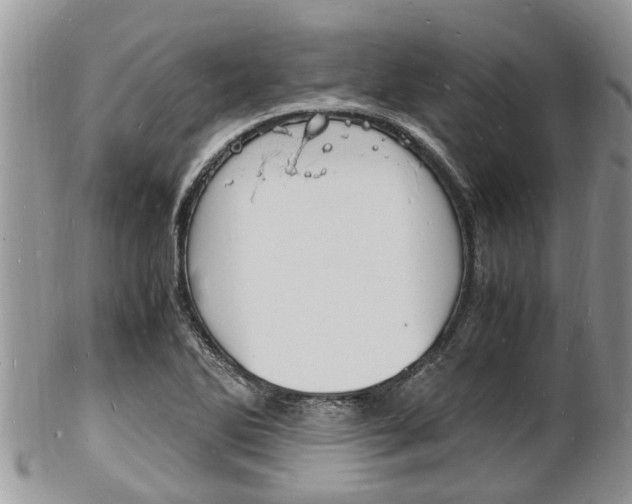 X0000102781270200808180923