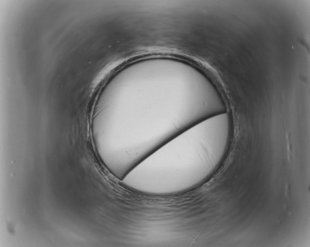 X0000102781271200808180923
