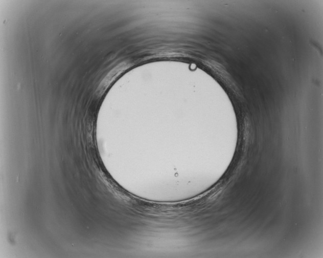 X0000102781273200808180923
