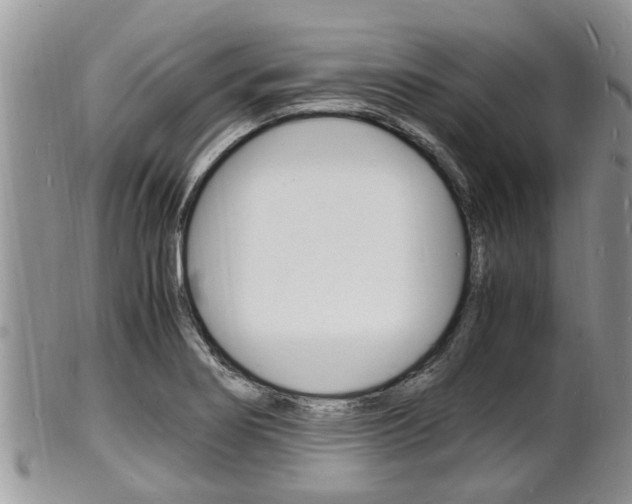 X0000102781274200808180923