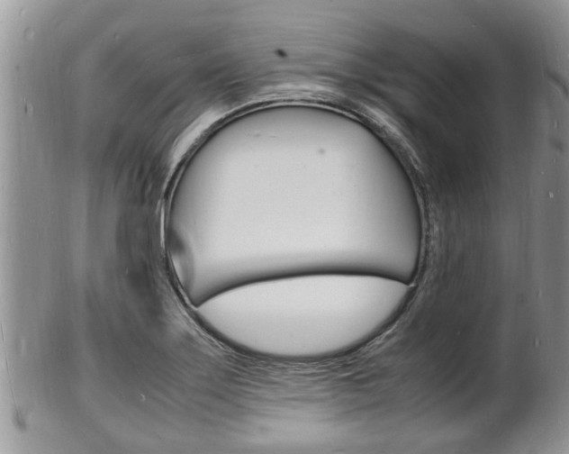 X0000102781275200808180923
