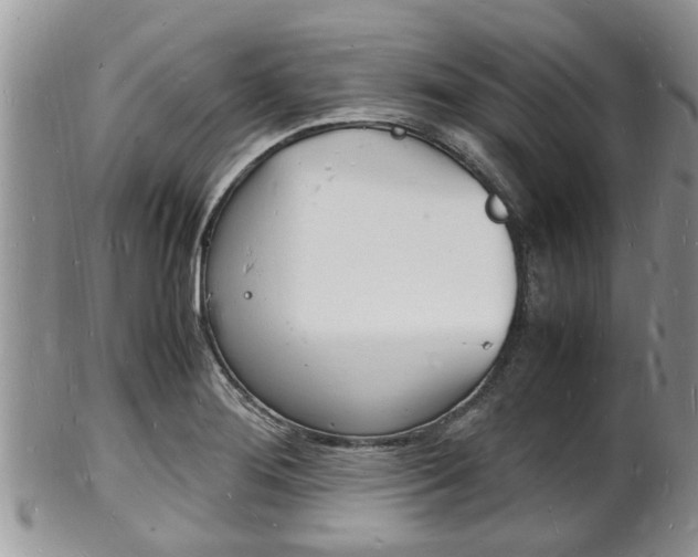 X0000102781276200808180923