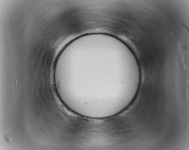 X0000102781278200808180923