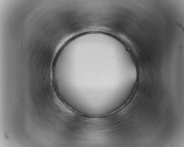 X0000102781280200808180923
