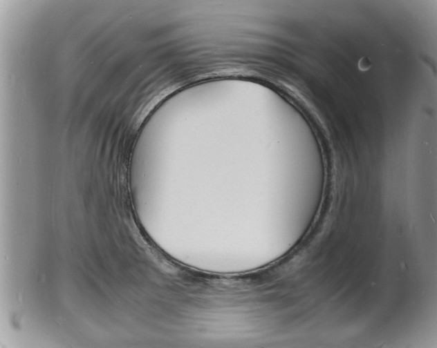 X0000102781281200808180923