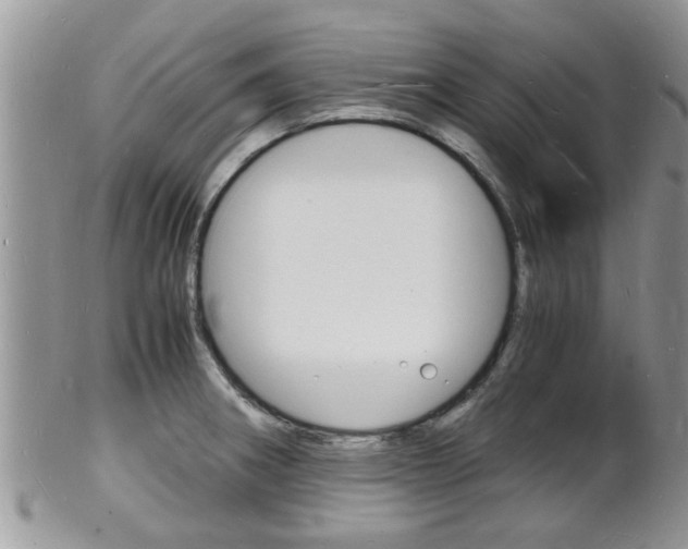 X0000102781282200808180923