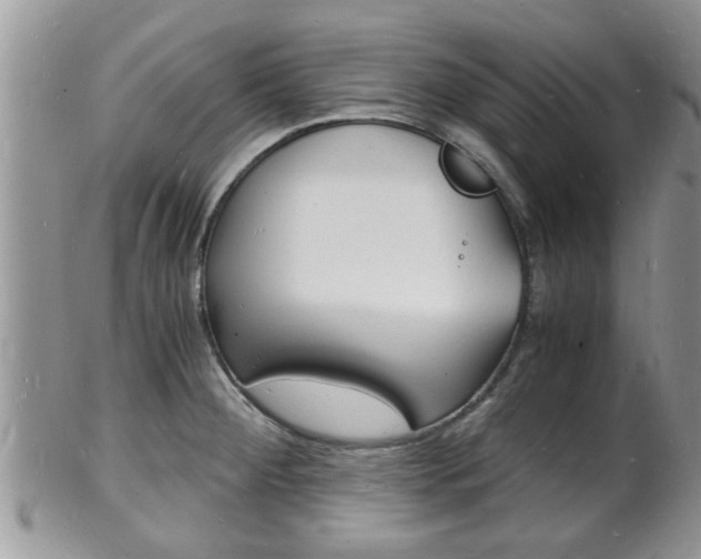 X0000102781284200808180923