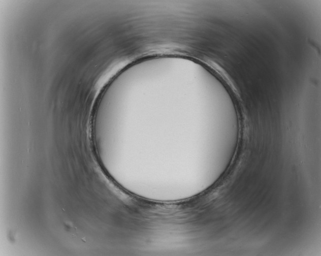 X0000102781285200808180923