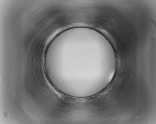 X0000102781286200808180923