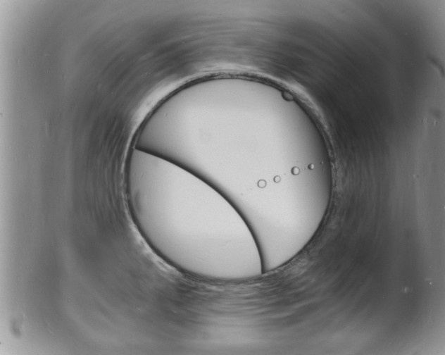 X0000102781287200808180923