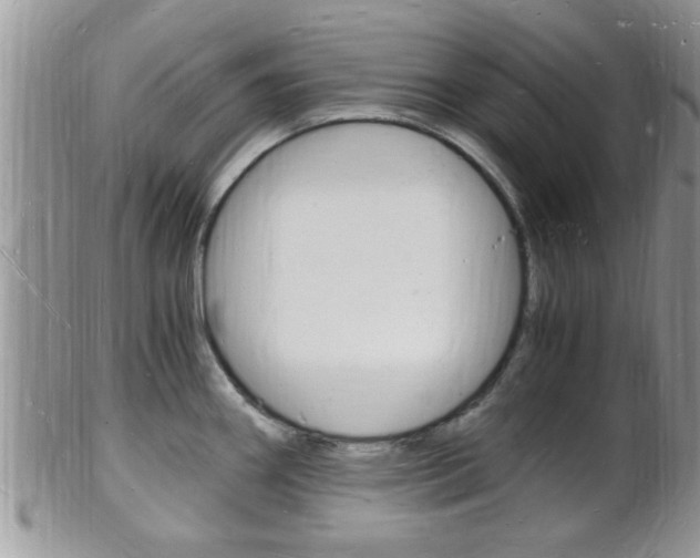 X0000102781290200808180923