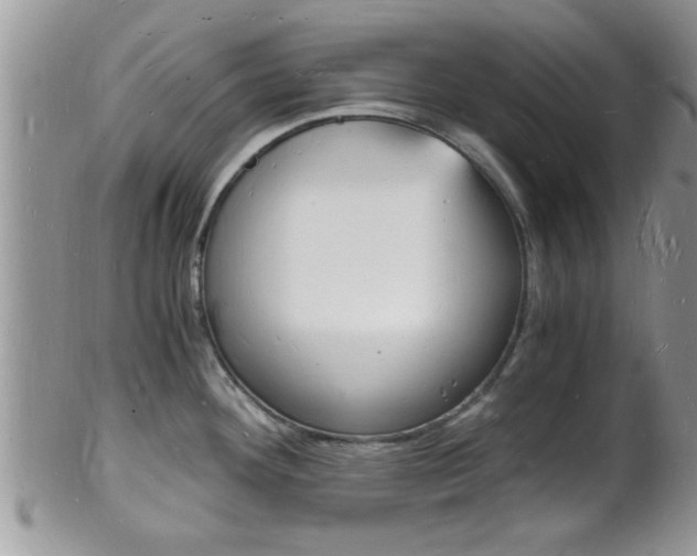 X0000102781292200808180923
