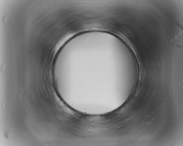 X0000102781293200808180922