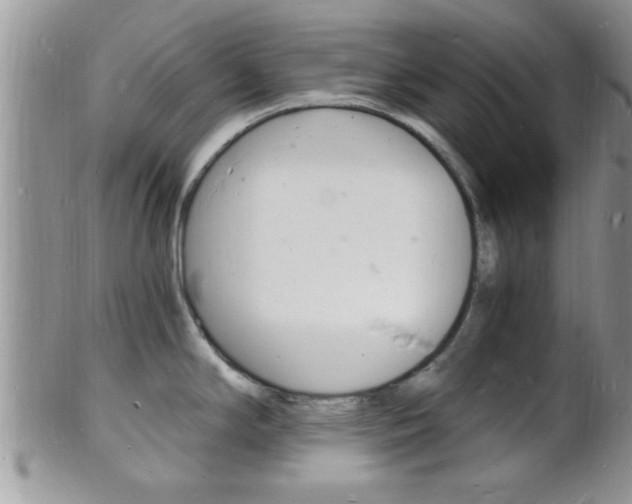 X0000102781294200808180922