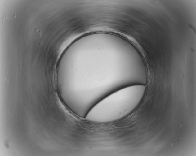 X0000102781295200808180922