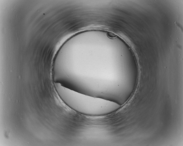 X0000102781296200808180922