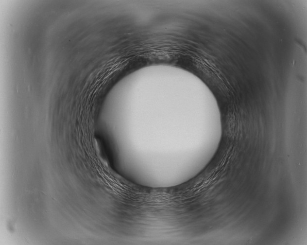 X0000102781297200808180922
