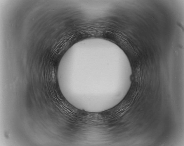 X0000102781298200808180922
