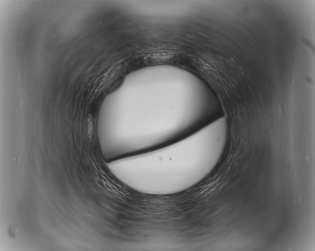 X0000102781299200808180922
