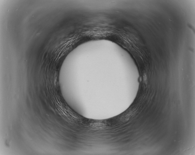 X0000102781300200808180922