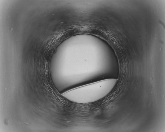 X0000102781301200808180922
