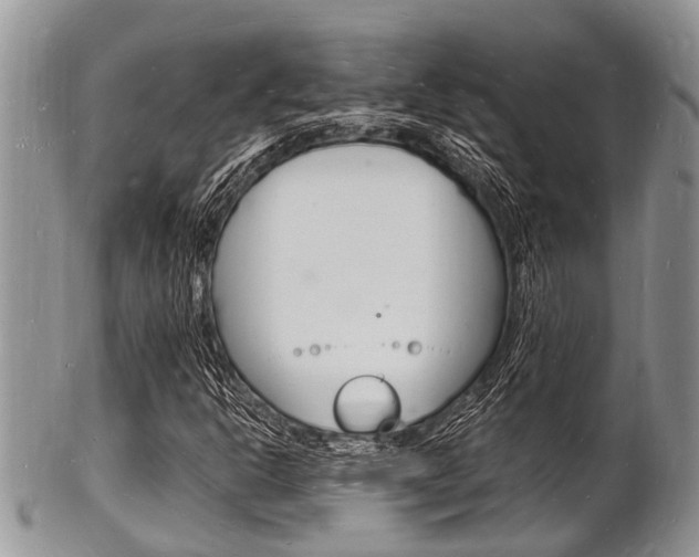 X0000102781302200808180922