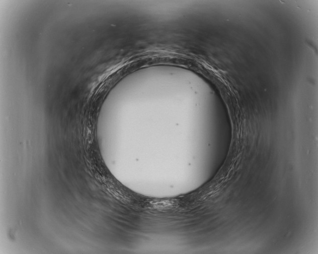 X0000102781303200808180922