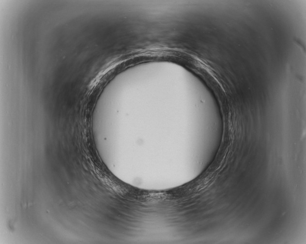 X0000102781304200808180922