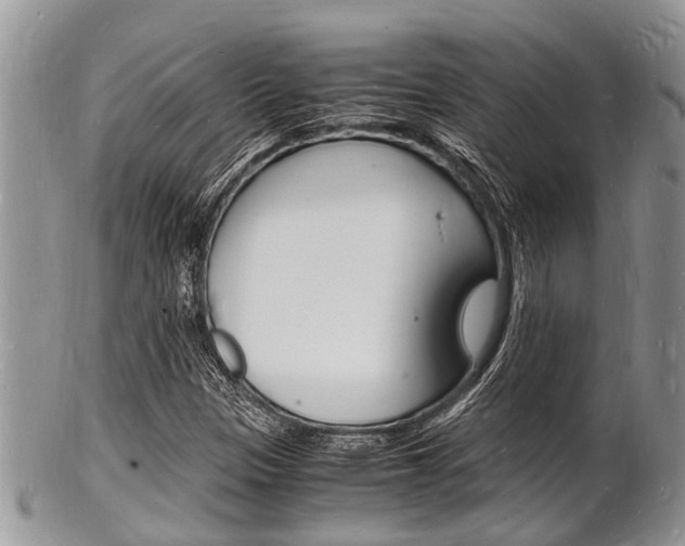 X0000102781305200808180922