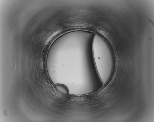 X0000102781307200808180922