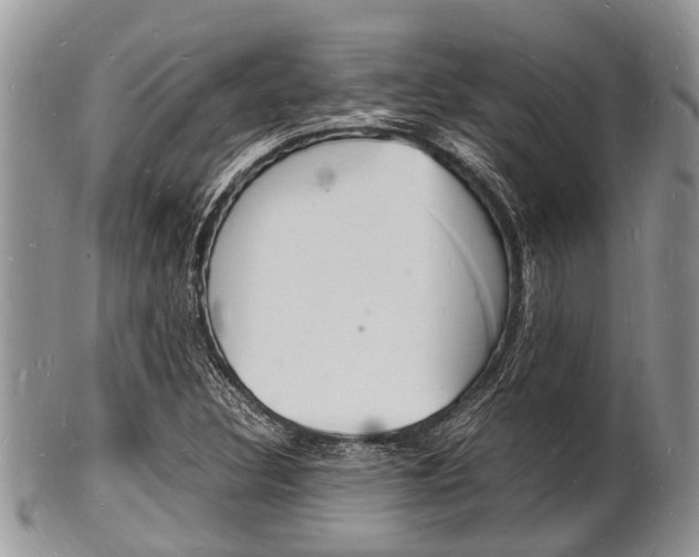 X0000102781308200808180922