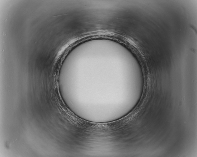 X0000102781310200808180922