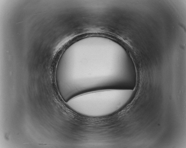 X0000102781311200808180922