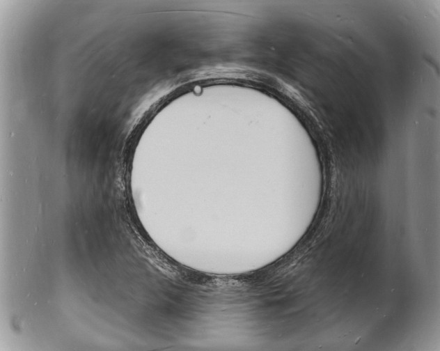 X0000102781312200808180922