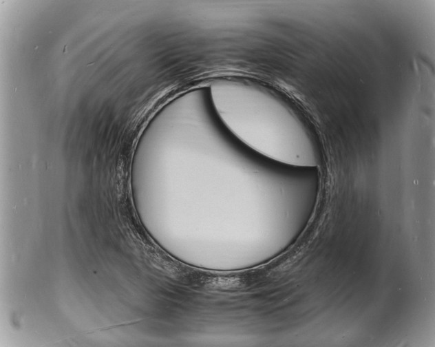 X0000102781313200808180922