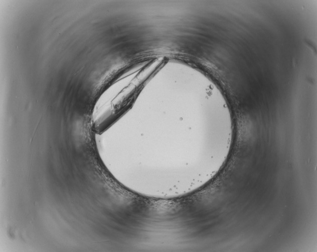 X0000102781314200808180922