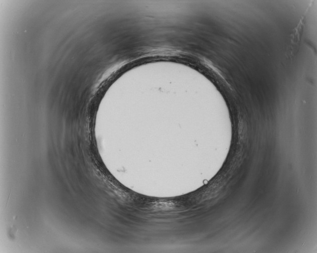 X0000102781315200808180922