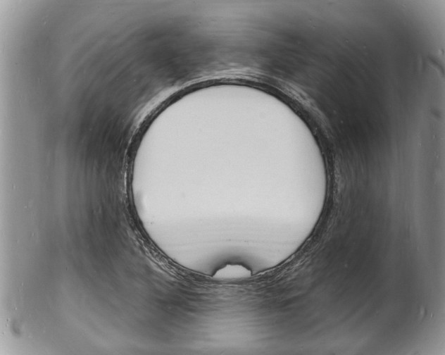 X0000102781316200808180922