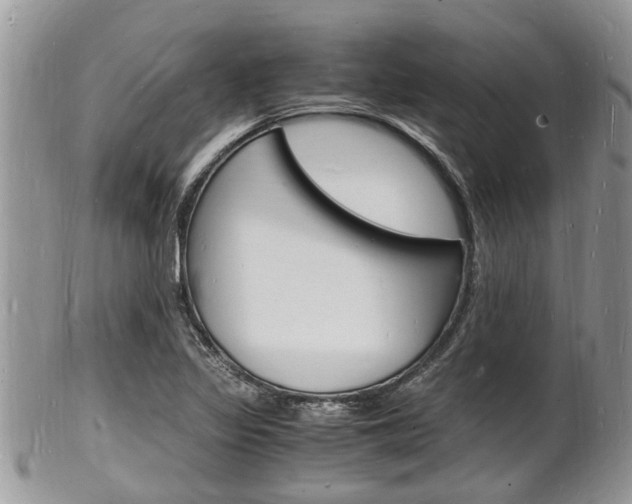 X0000102781317200808180922