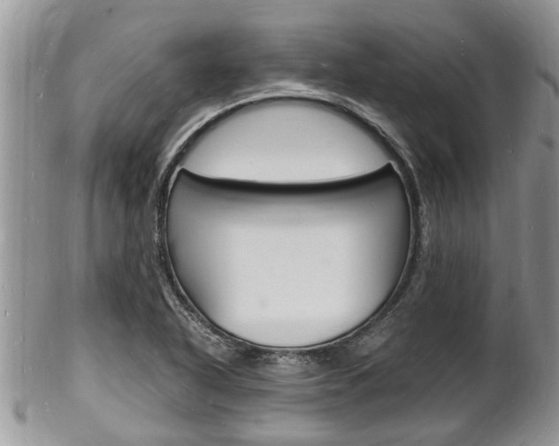 X0000102781318200808180922
