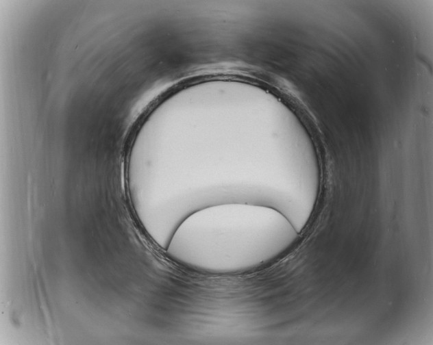 X0000102781320200808180922