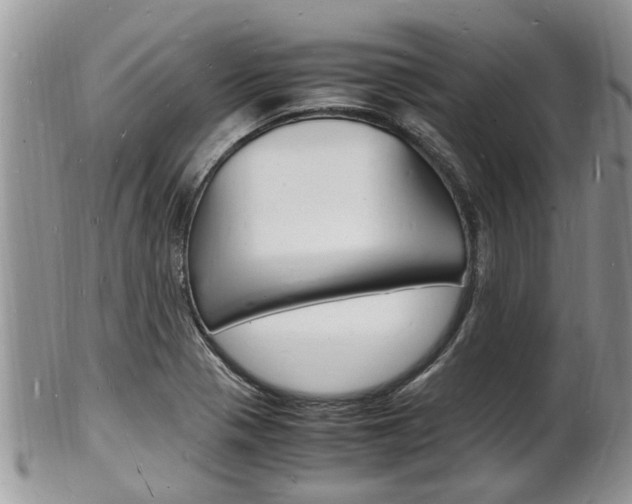 X0000102781321200808180922