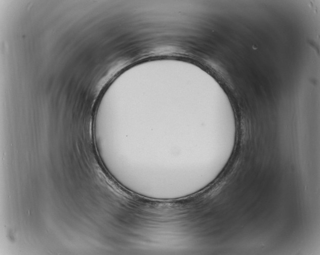 X0000102781322200808180922