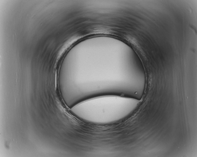 X0000102781323200808180922