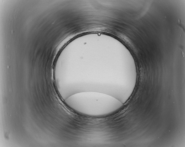 X0000102781324200808180922