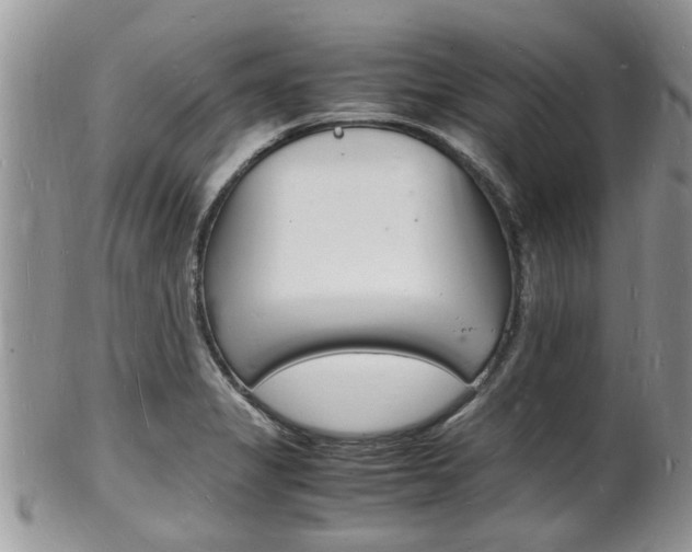 X0000102781325200808180922
