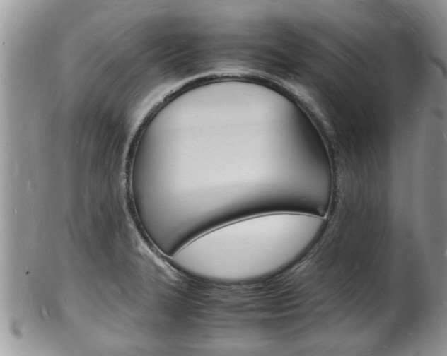 X0000102781327200808180922