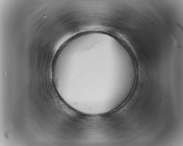 X0000102781328200808180922